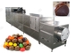 Automatische Chocoladeboon die de Bal maken die van de Machinechocolade Machine vormen leverancier